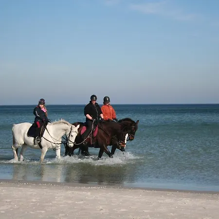 Strandblick 8 Apartment Zingst