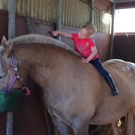 Strandblick 8 Apartman