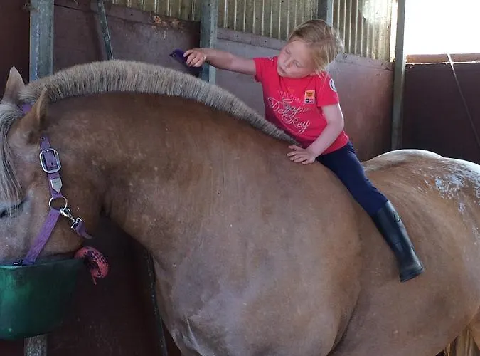 Strandblick 8 アパート